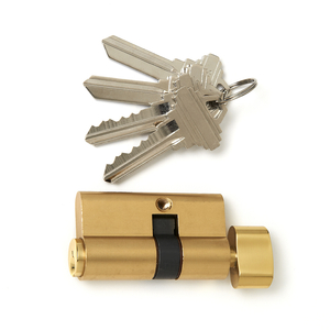 Brass Schlage Key Cylinder with Keys